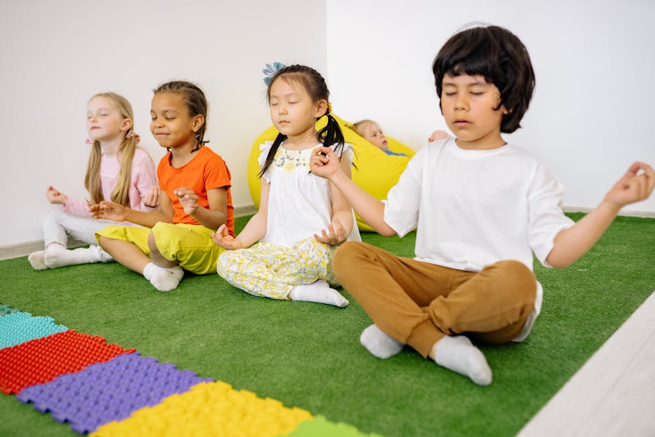 Social-Emotional Learning (Emotional Regulation)